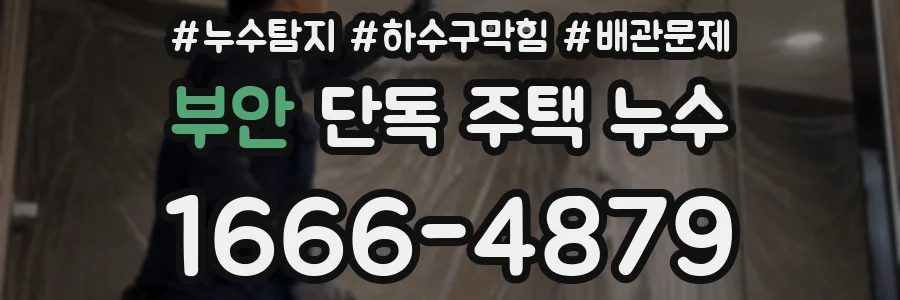 부안 단독 주택 누수
