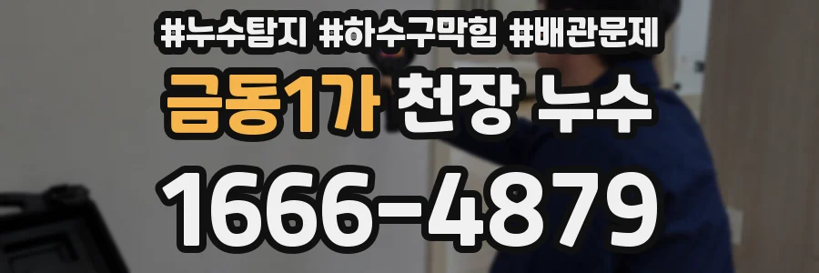 금동1가 천장 누수