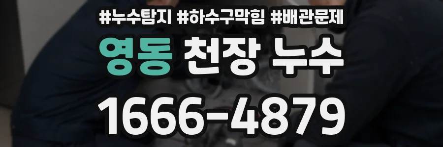 영동 천장 누수