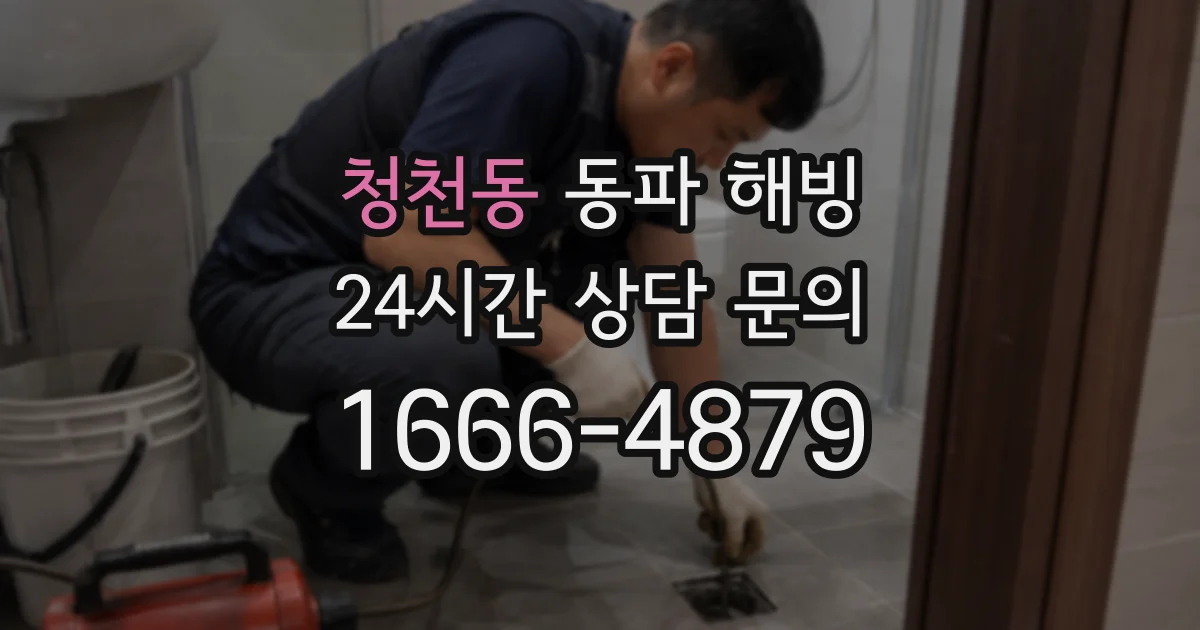 청천동 동파 해빙