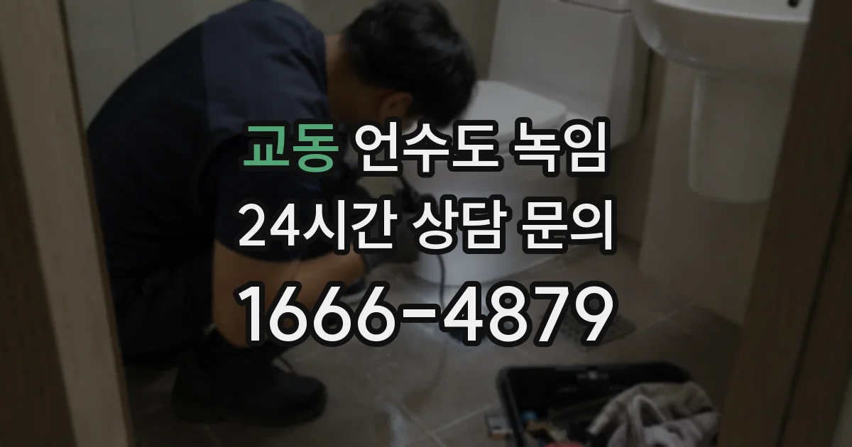 교동 언수도 녹임