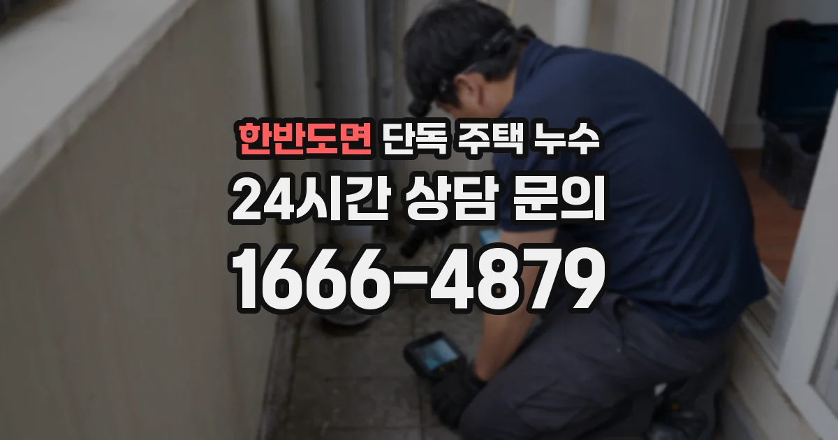 한반도면 단독 주택 누수