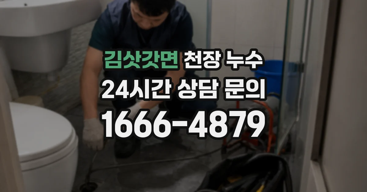 김삿갓면 천장 누수