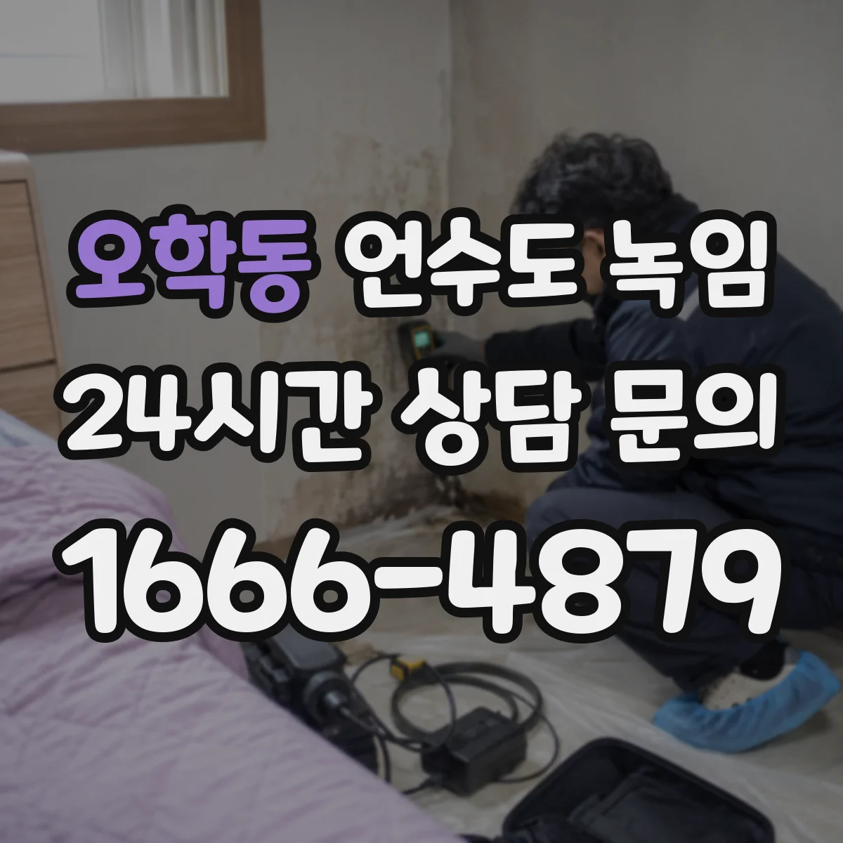 오학동 언수도 녹임