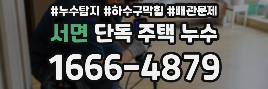 서면 단독 주택 누수