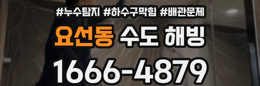요선동 수도 해빙