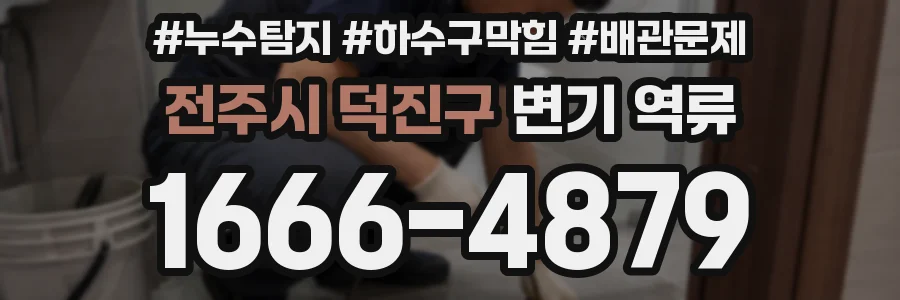 전주시 덕진구 변기 역류