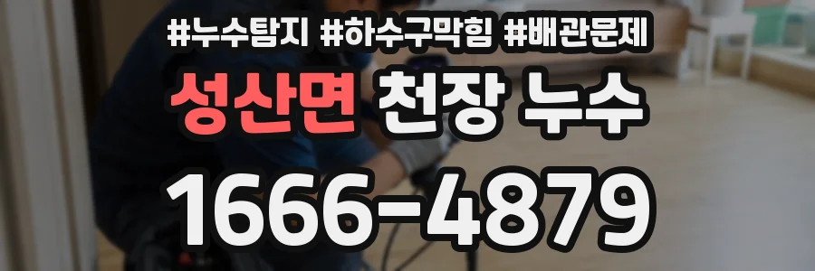 성산면 천장 누수