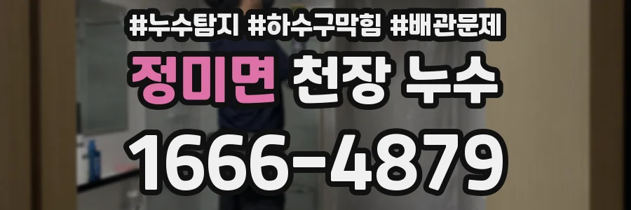 정미면 천장 누수