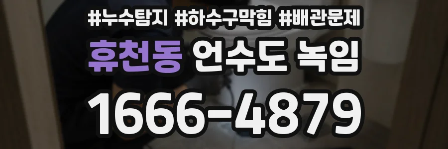 휴천동 언수도 녹임