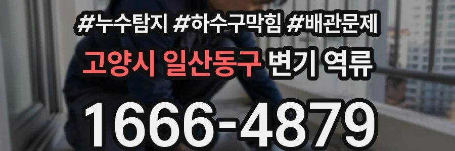 고양시 일산동구 변기 역류