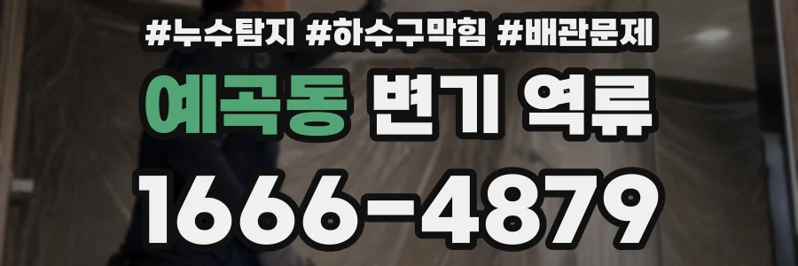 예곡동 변기 역류