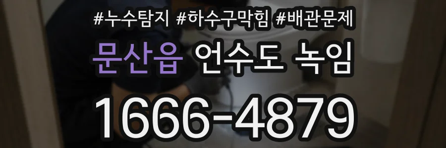 문산읍 언수도 녹임
