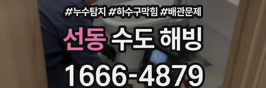 선동 수도 해빙