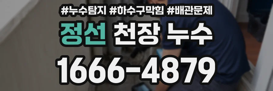 정선 천장 누수