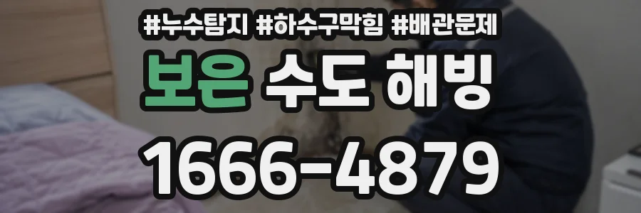 보은 수도 해빙