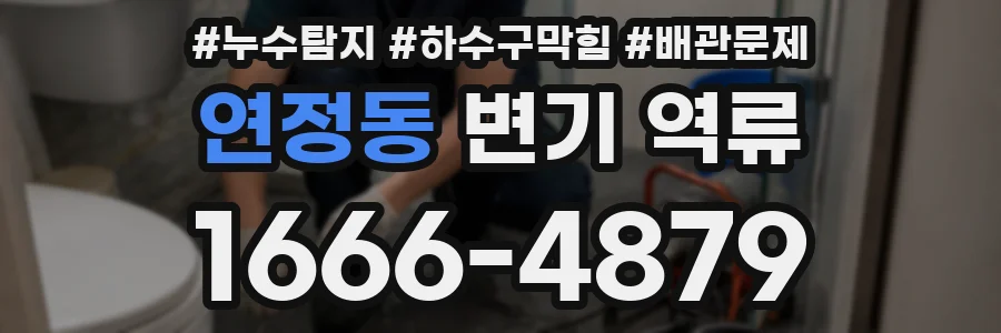 연정동 변기 역류