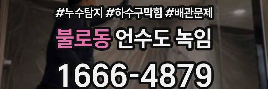 불로동 언수도 녹임