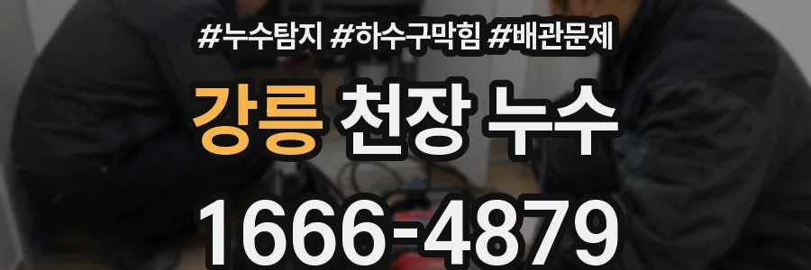 강릉 천장 누수