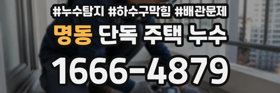 명동 단독 주택 누수