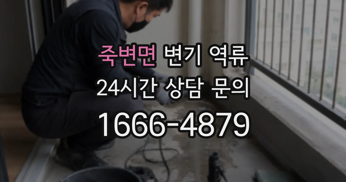 죽변면 변기 역류