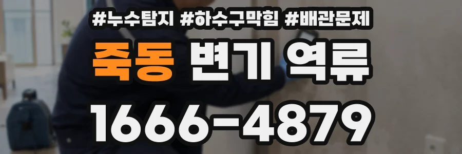 죽동 변기 역류