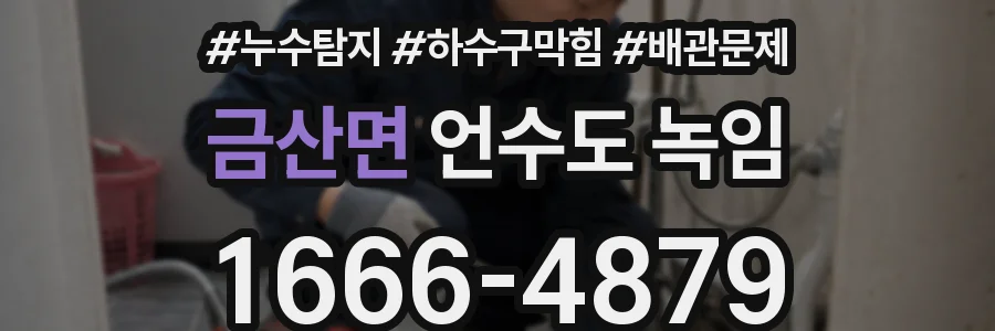금산면 언수도 녹임