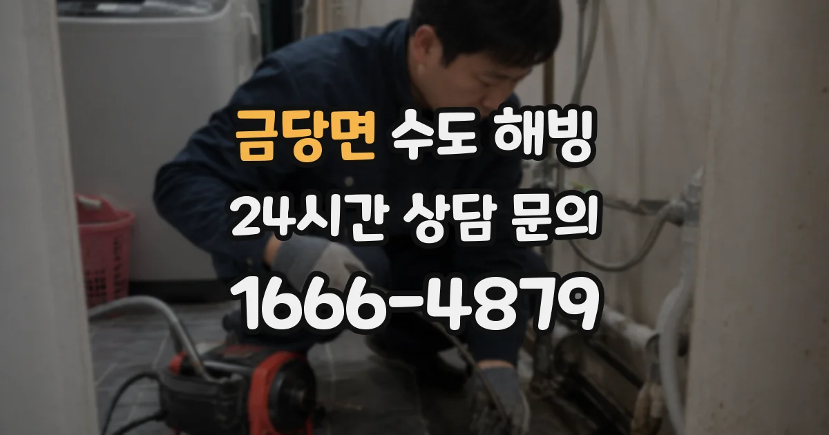 금당면 수도 해빙