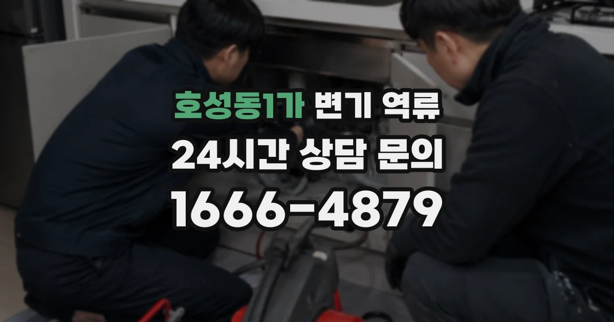 호성동1가 변기 역류
