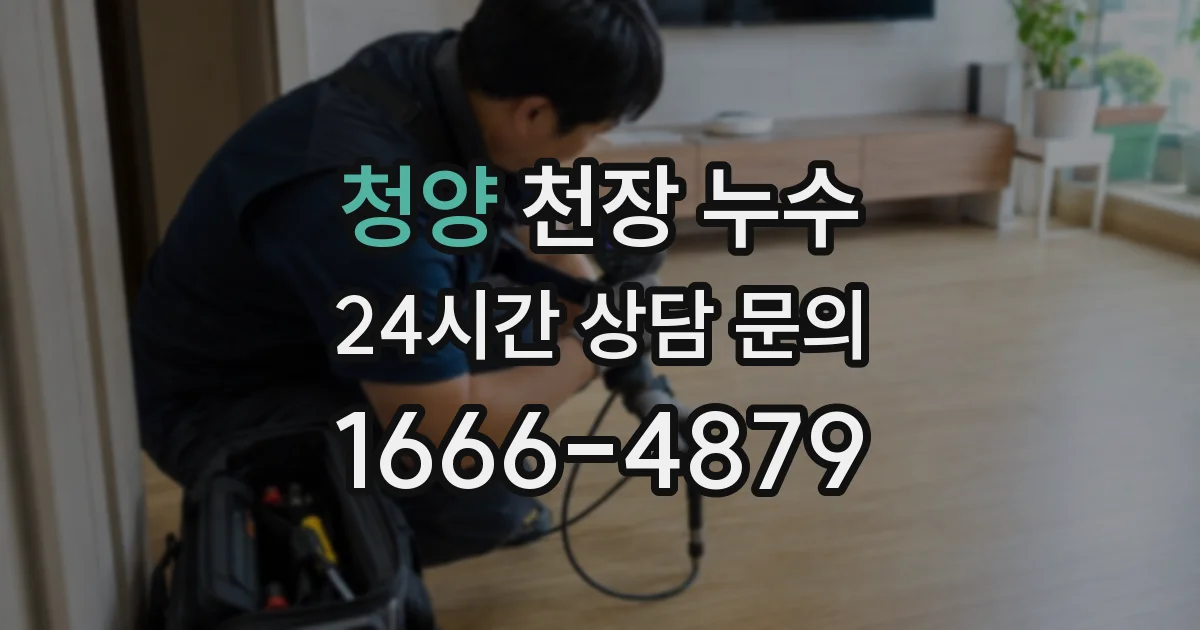 청양 천장 누수