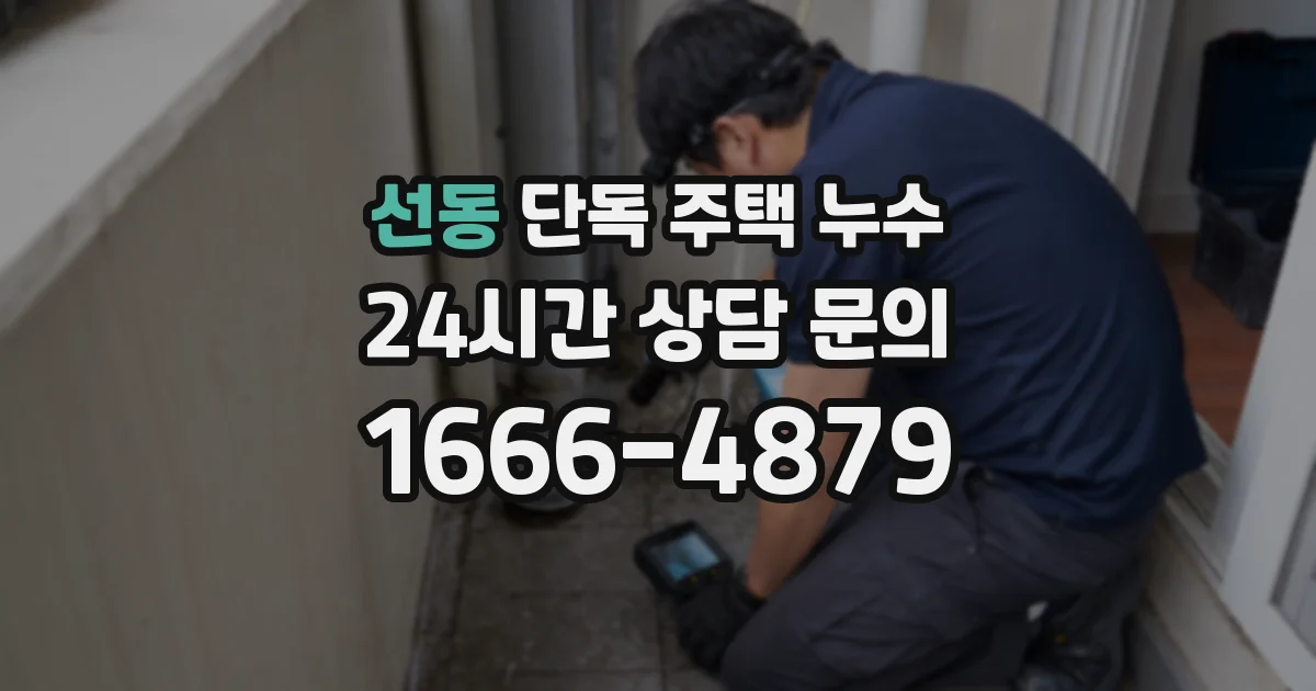선동 단독 주택 누수