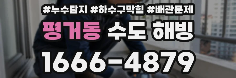 평거동 수도 해빙