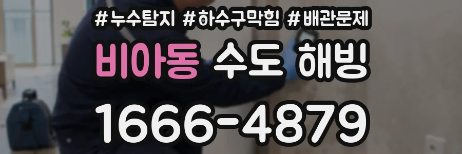 비아동 수도 해빙