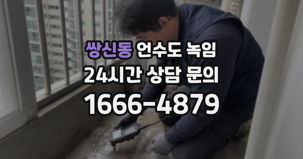 쌍신동 언수도 녹임