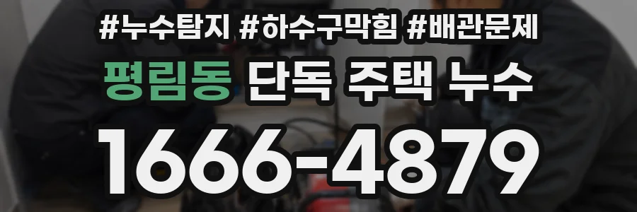 평림동 단독 주택 누수