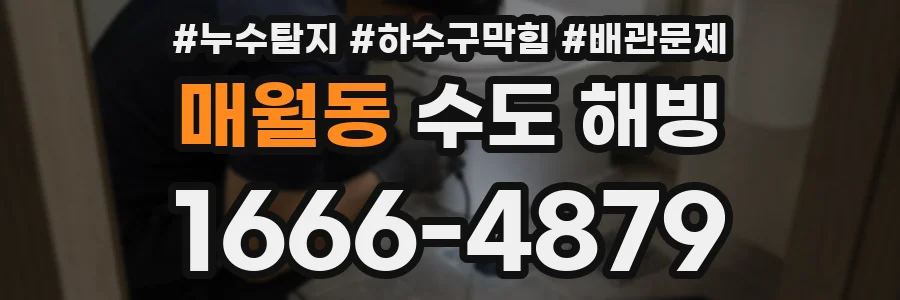 매월동 수도 해빙