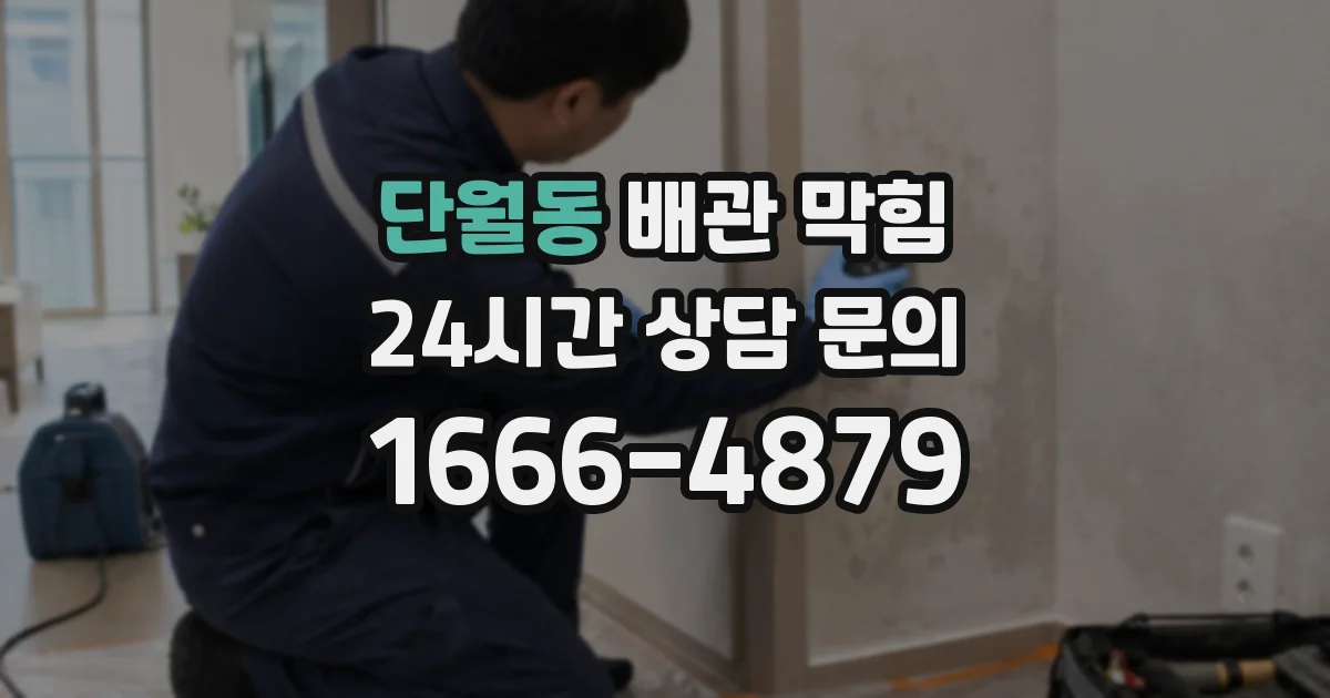 단월동 배관 막힘