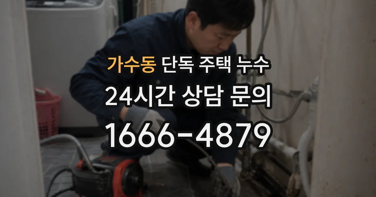 가수동 단독 주택 누수