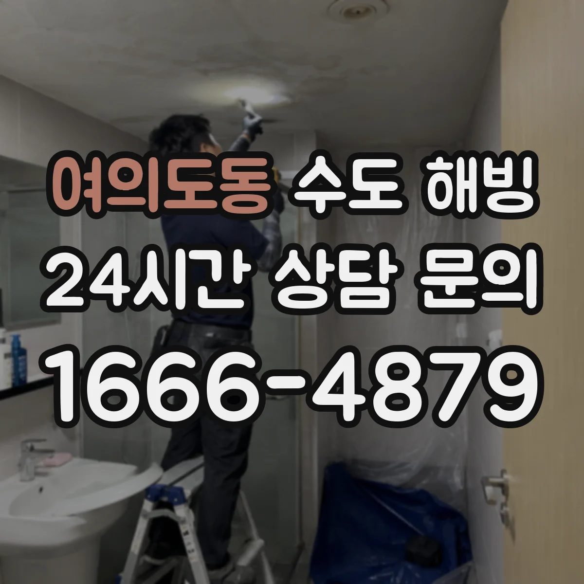 여의도동 수도 해빙