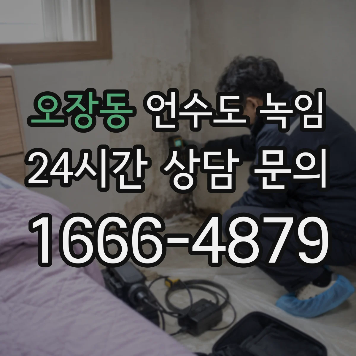오장동 언수도 녹임