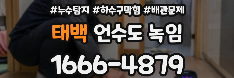 태백 언수도 녹임