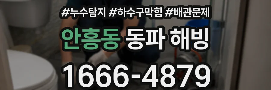 안흥동 동파 해빙