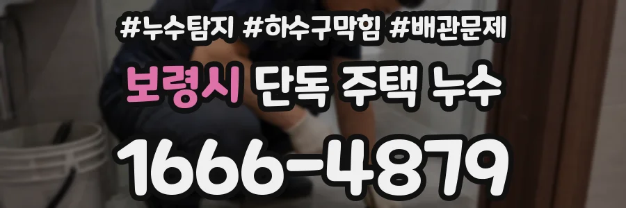 보령시 단독 주택 누수
