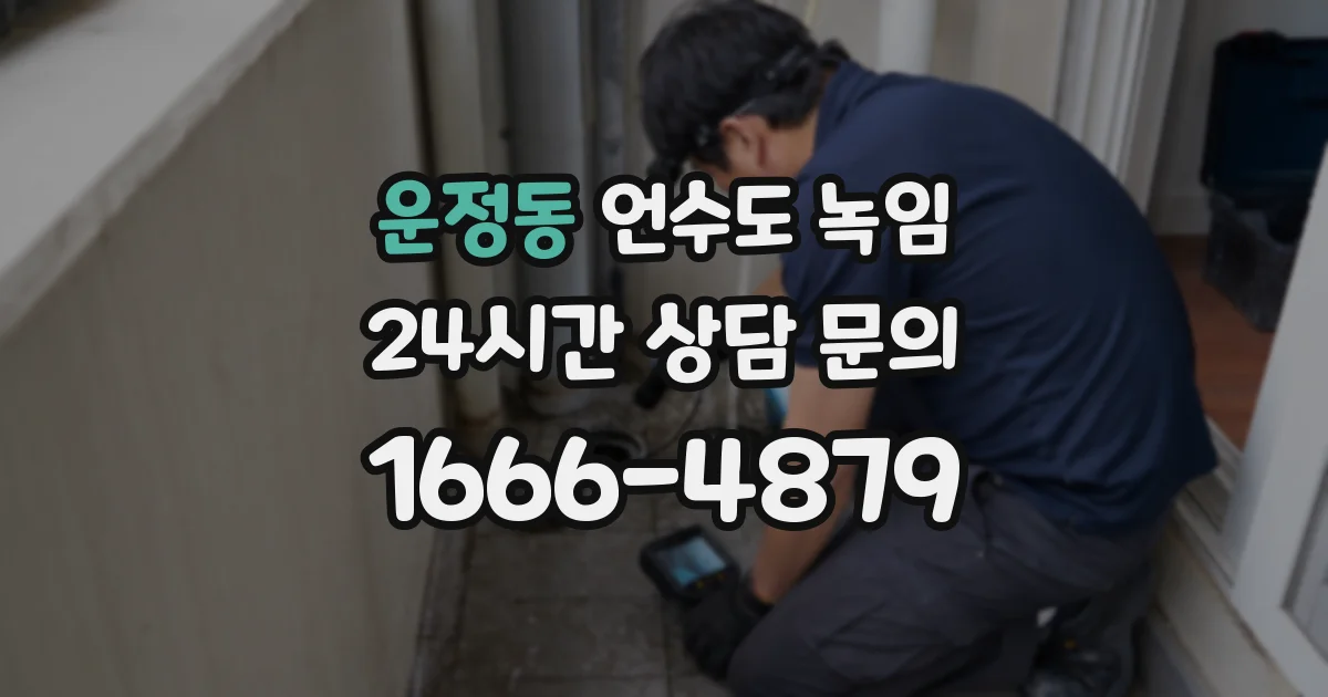 운정동 언수도 녹임
