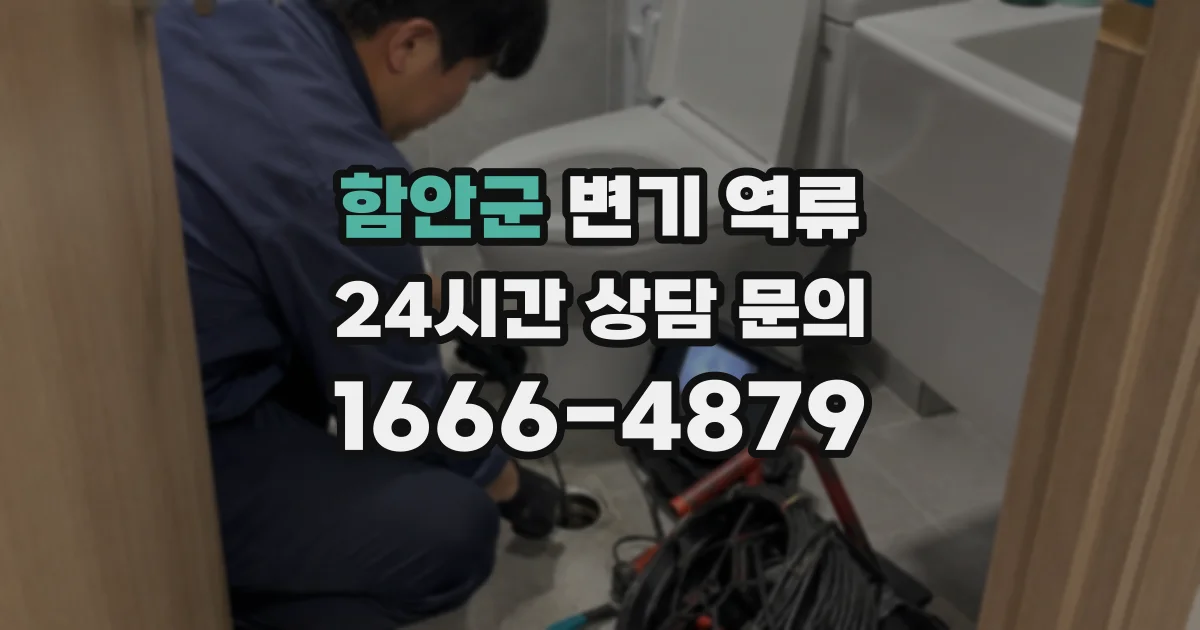 함안군 변기 역류