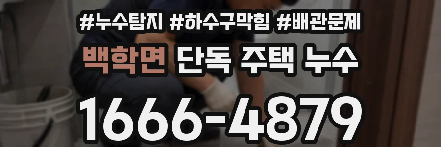 백학면 단독 주택 누수