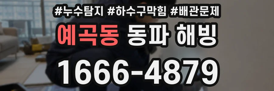 예곡동 동파 해빙