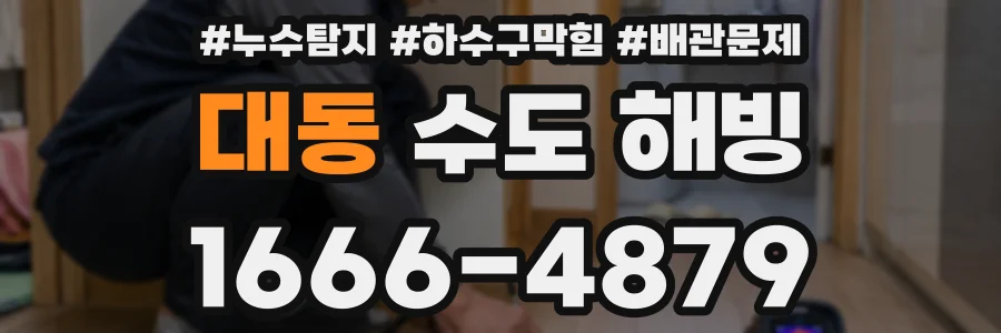대동 수도 해빙