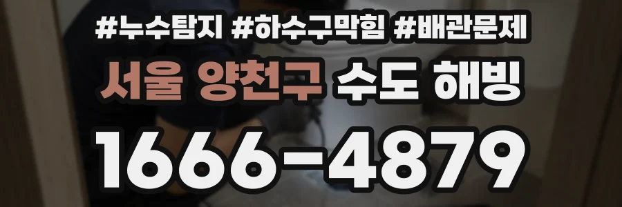 서울 양천구 수도 해빙
