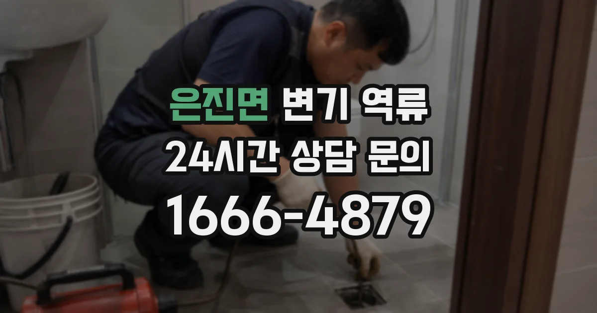 은진면 변기 역류